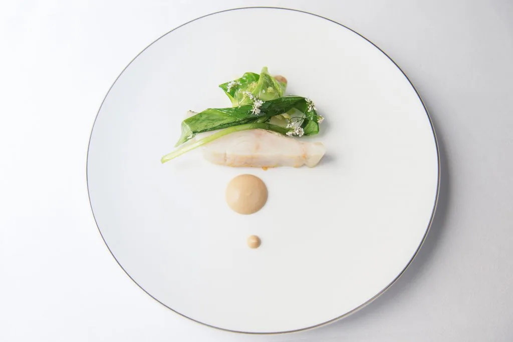 Filet de poisson blanc, légumes verts, fleurs blanches et points de sauce