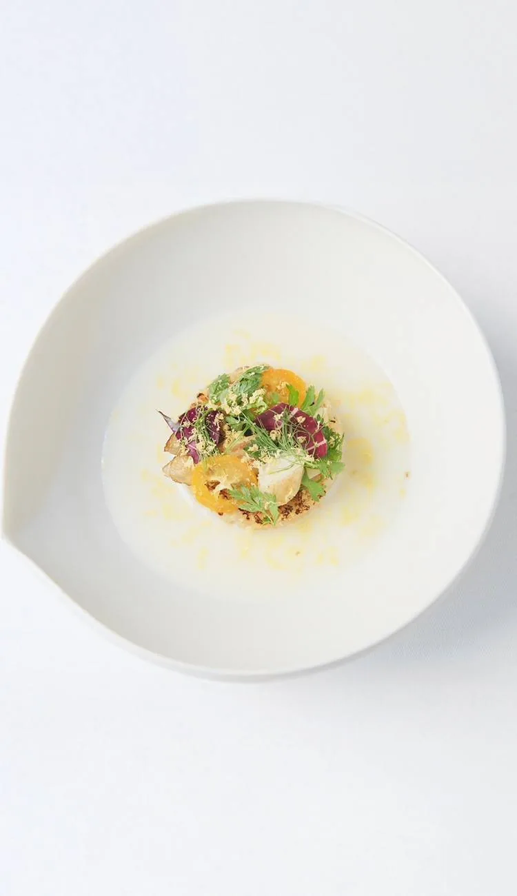 Assiette creuse : pièce snackée, agrumes et herbes fraîches en bouillon crémeux